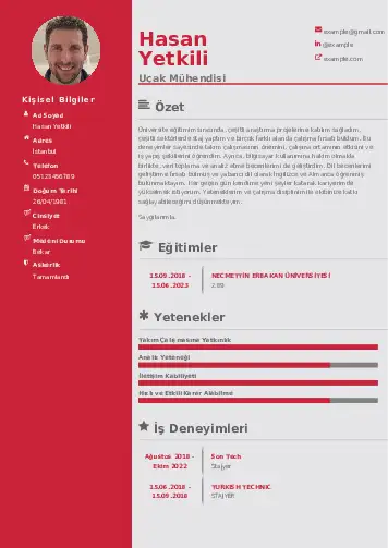 Havacılık Ve Uzay Uçak Mühendisi Cv Örnekleri cv indir